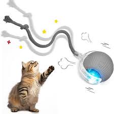 Bola interactiva para gato