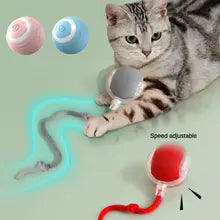Bola interactiva para gato